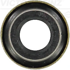 Seal Ring, valve stem